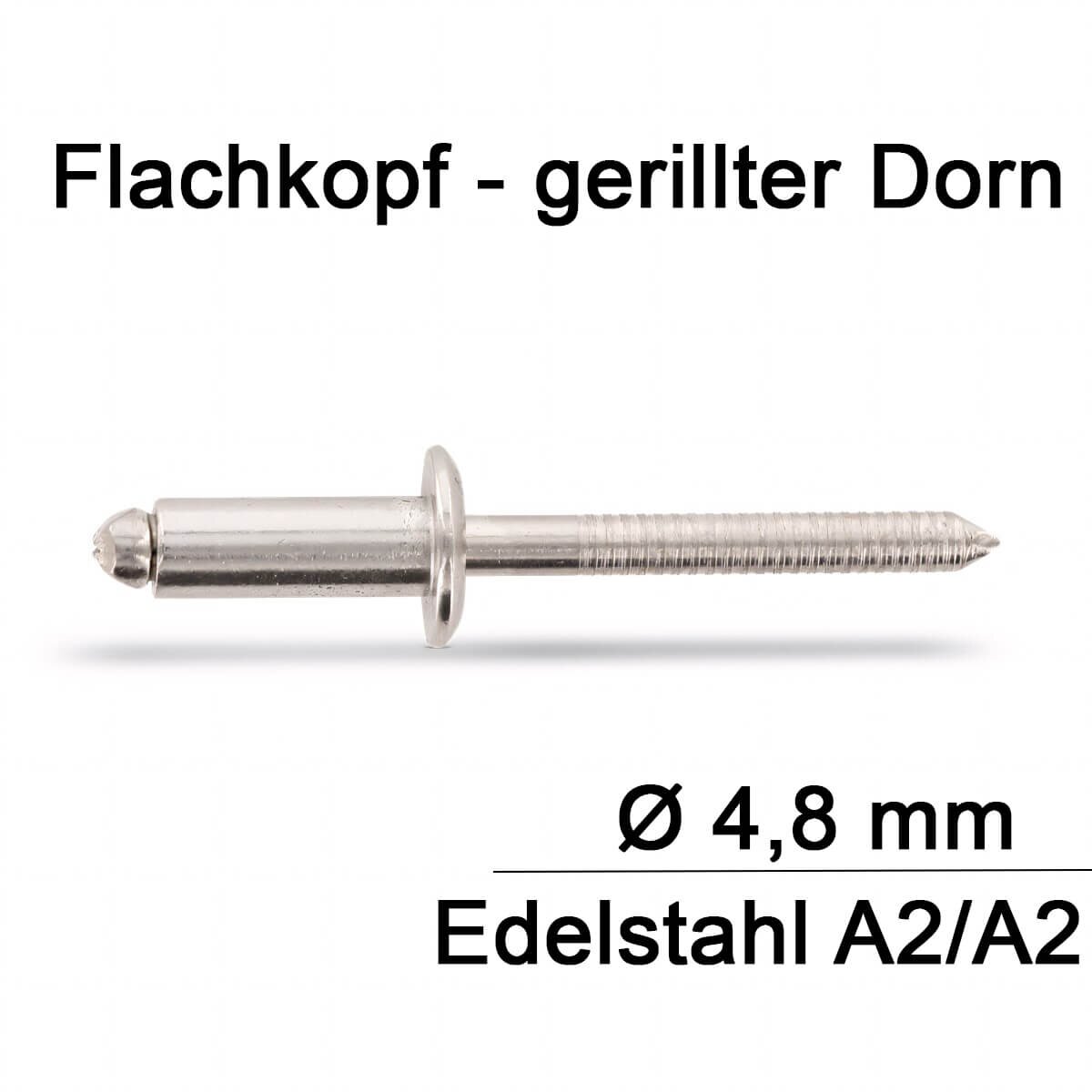 Blindnieterset A2 100 Stück Blindnieten Edelstahl A2 - 3,2x6 Mm, DIN 7337, Mit Nutdorn 3,2x6 Mm Pop Nieten