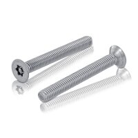 Sicherheitsschrauben Halbrundkopf 5,5x38mm - Einweg Blechgewinde A2 Blank